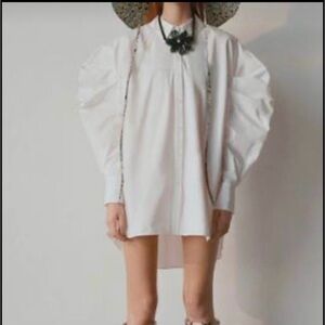 Zara Oversized Poplin Shirt
